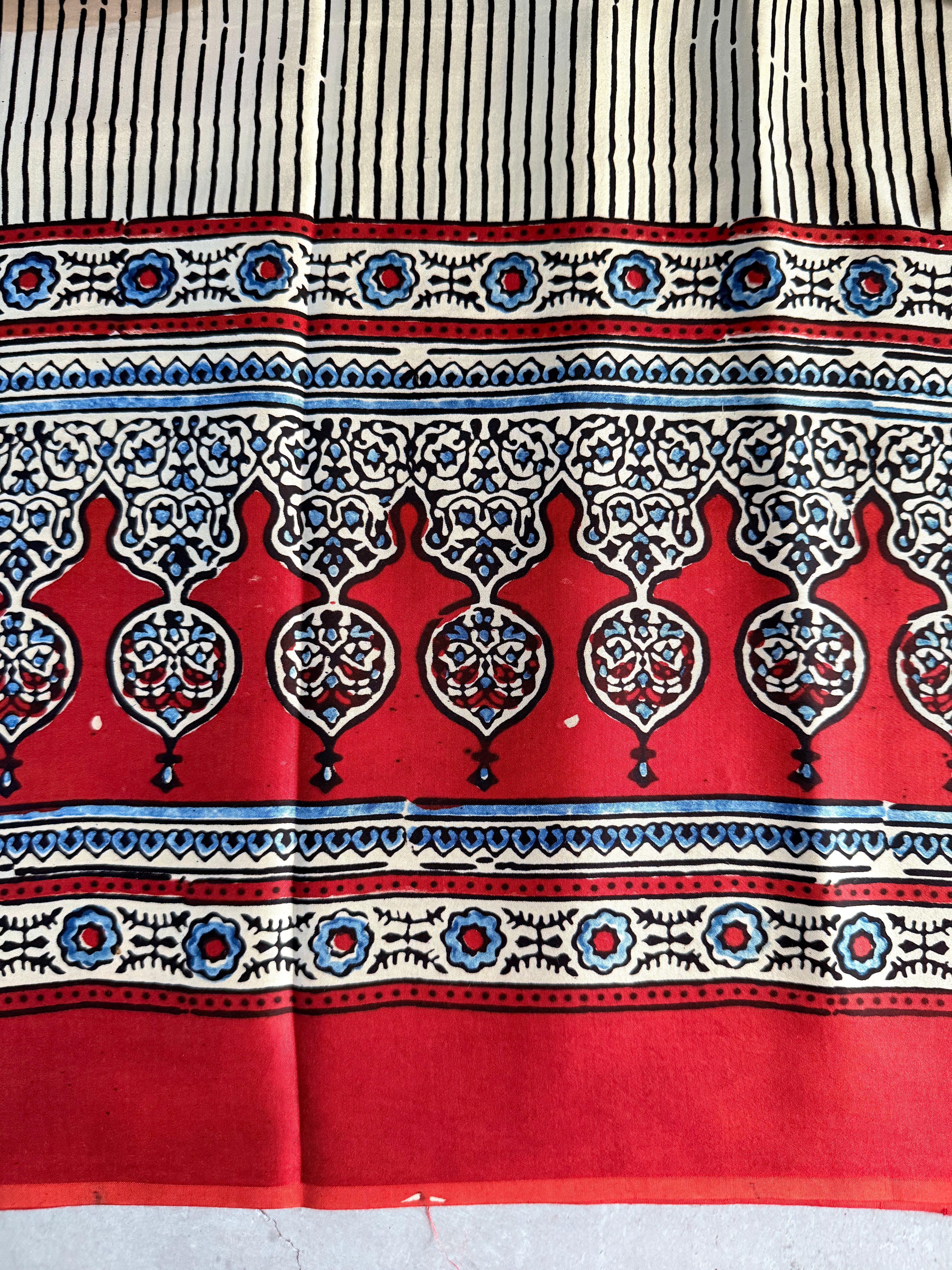 Avinashi | Authentic Block Printed Modal Silk Saree