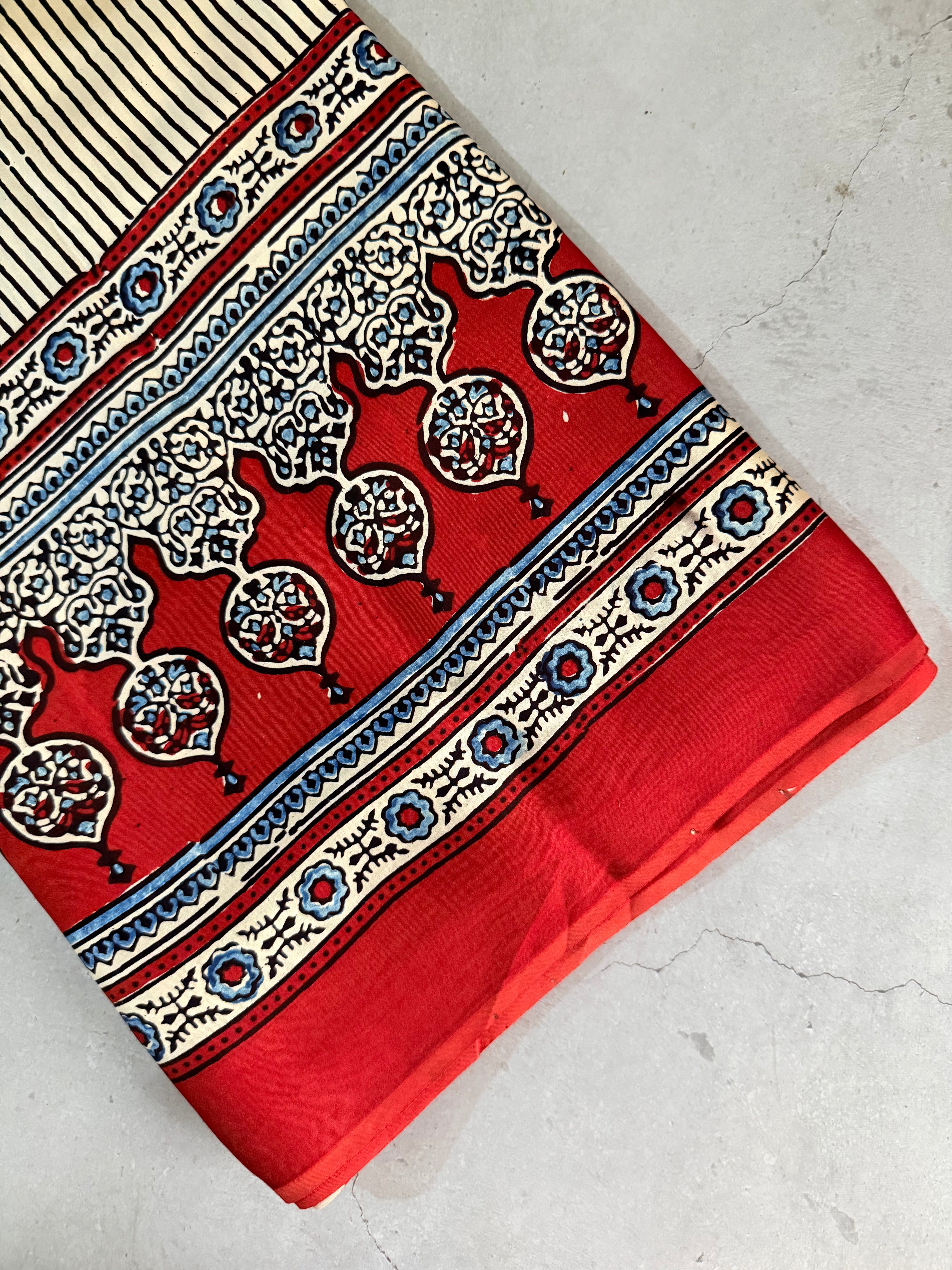 Avinashi | Authentic Block Printed Modal Silk Saree