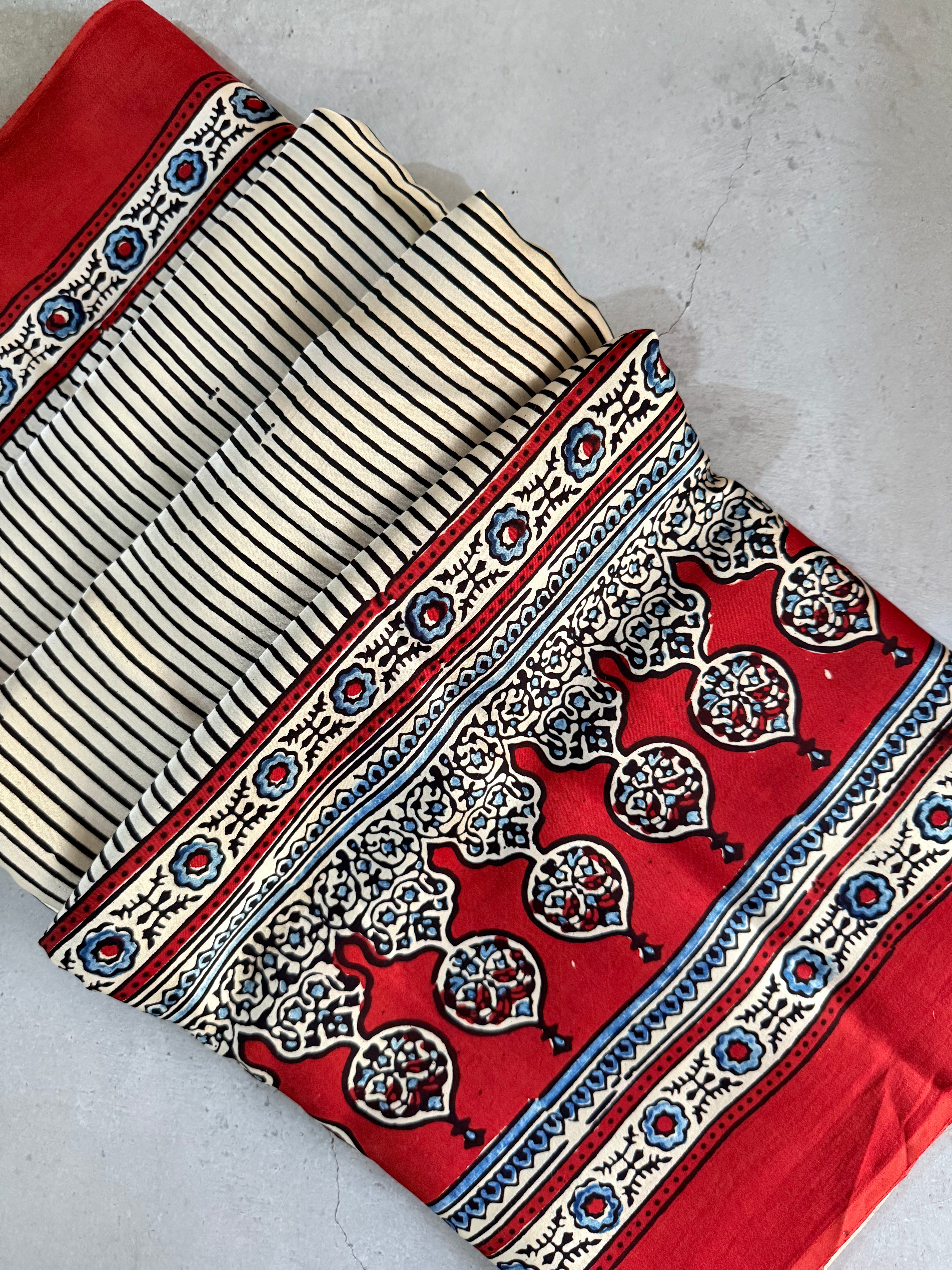 Avinashi | Authentic Block Printed Modal Silk Saree