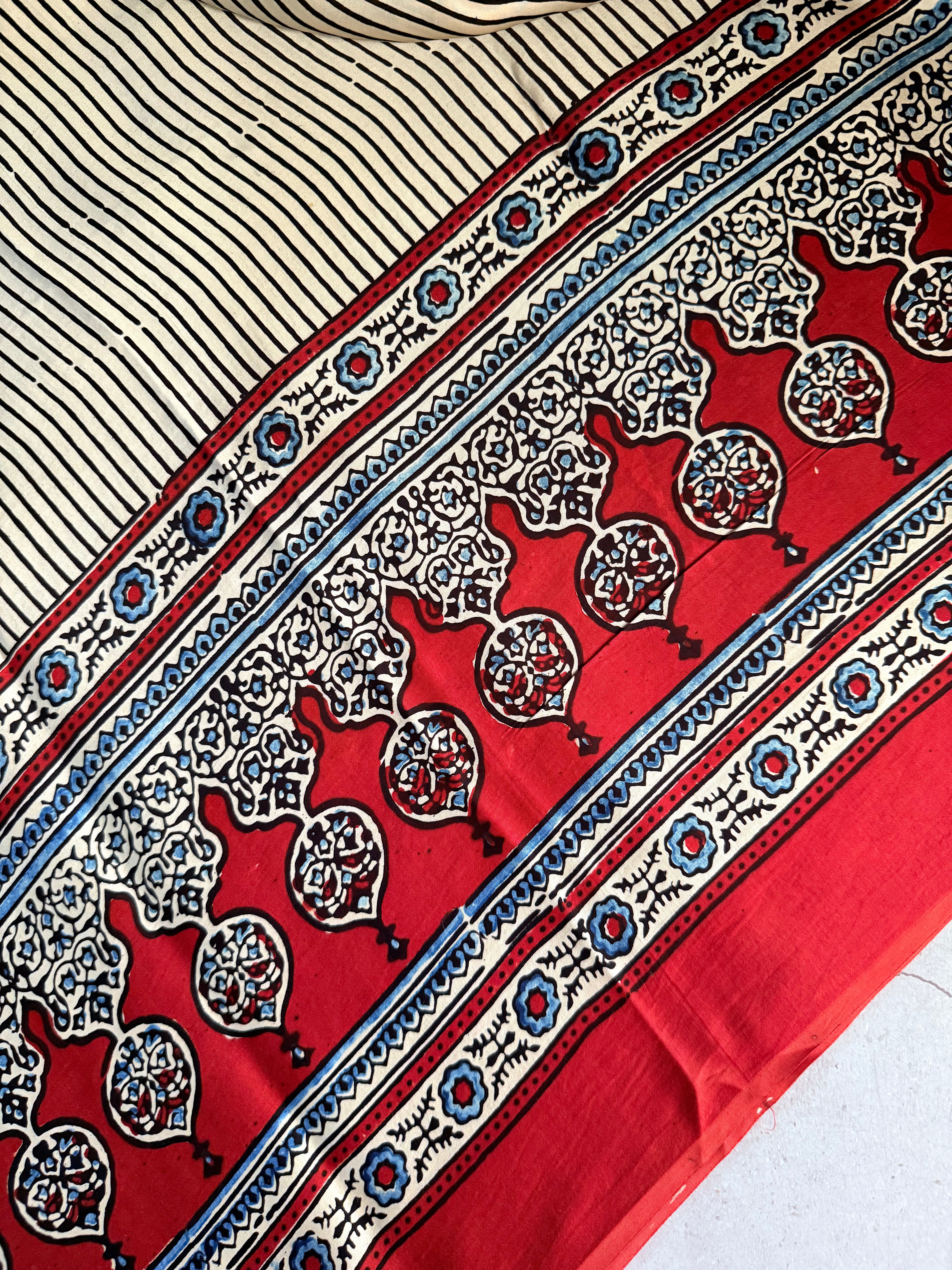 Avinashi | Authentic Block Printed Modal Silk Saree