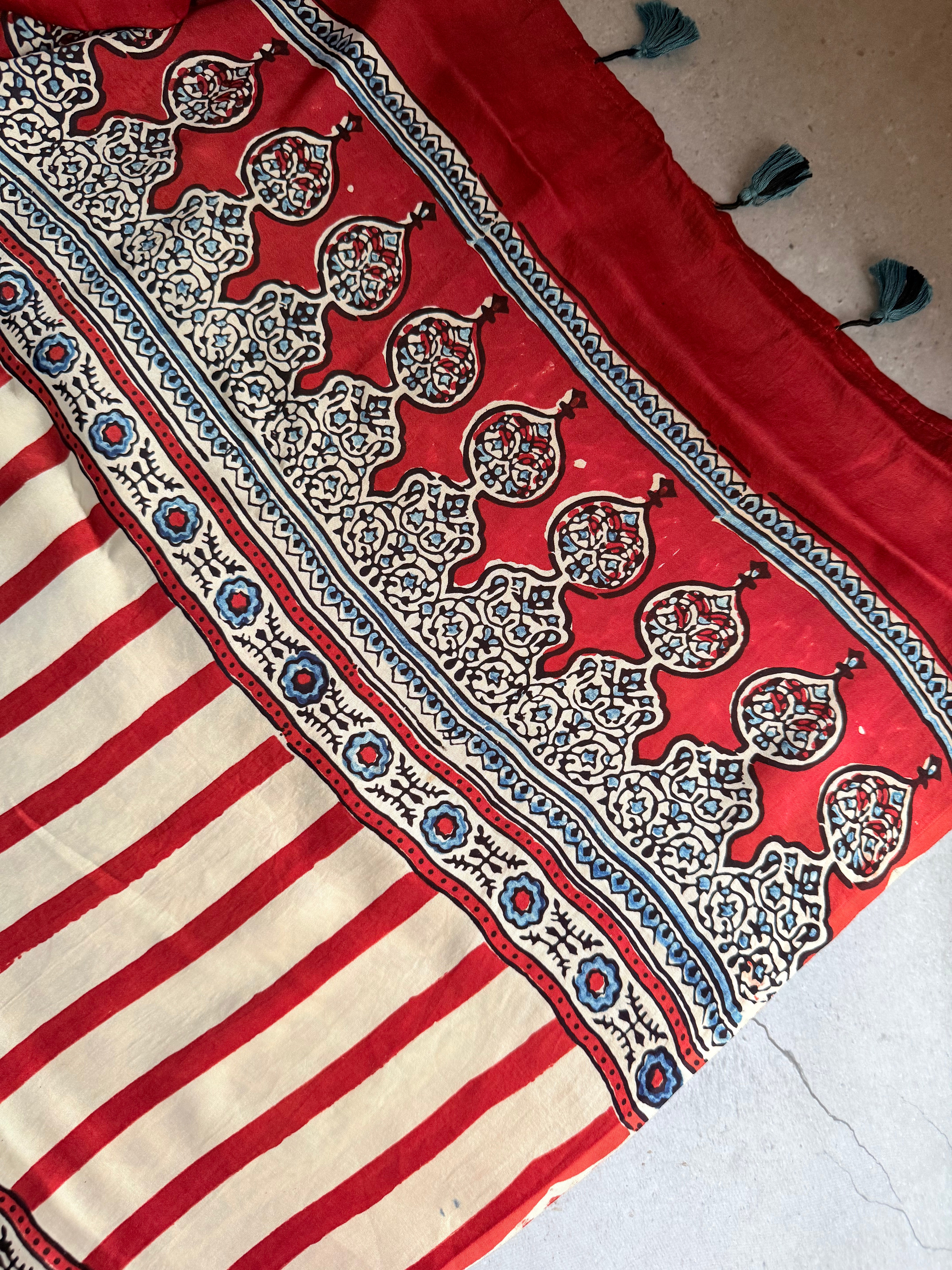 Avinashi | Authentic Block Printed Modal Silk Saree