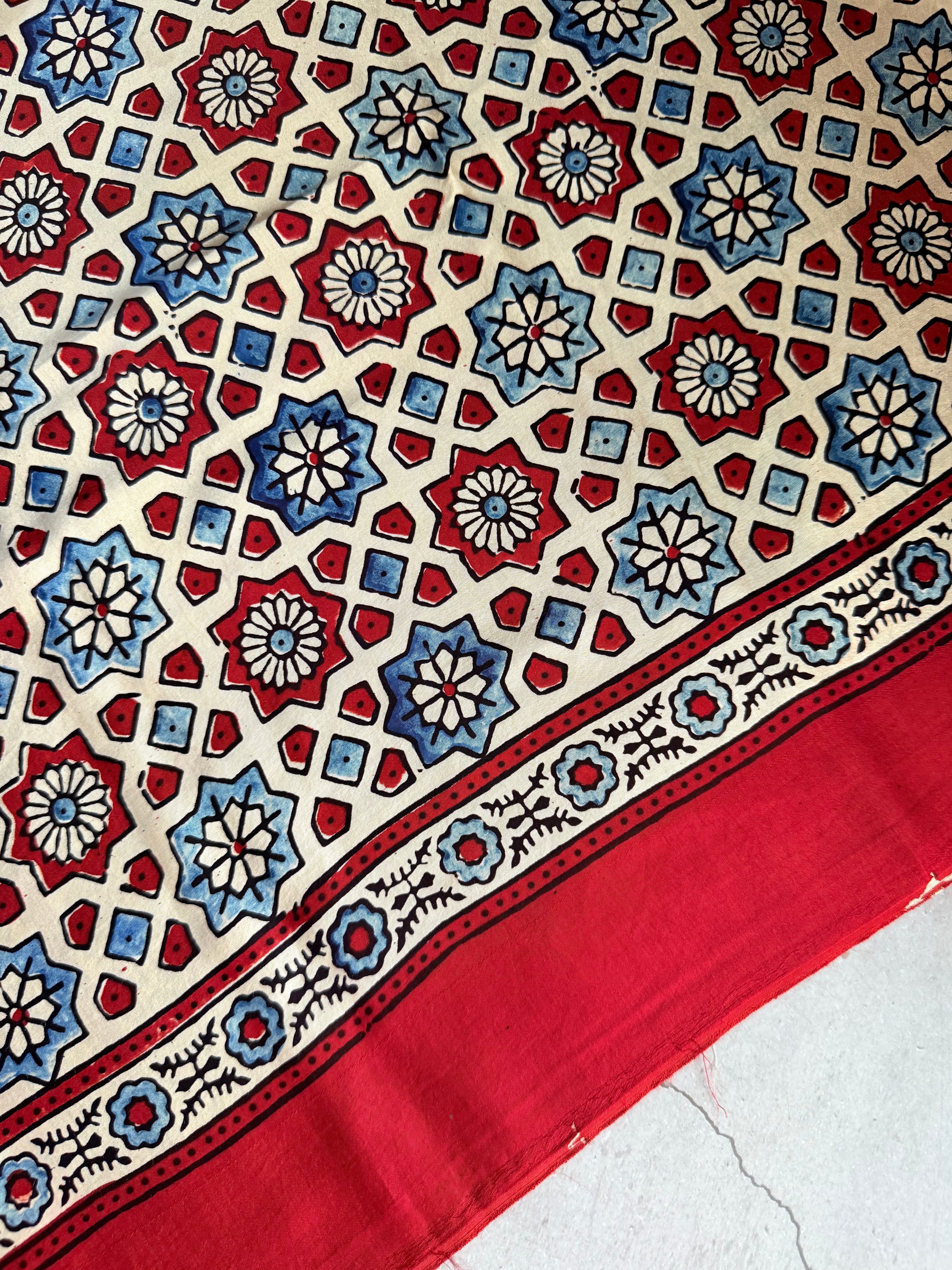 Avinashi | Authentic Block Printed Modal Silk Saree