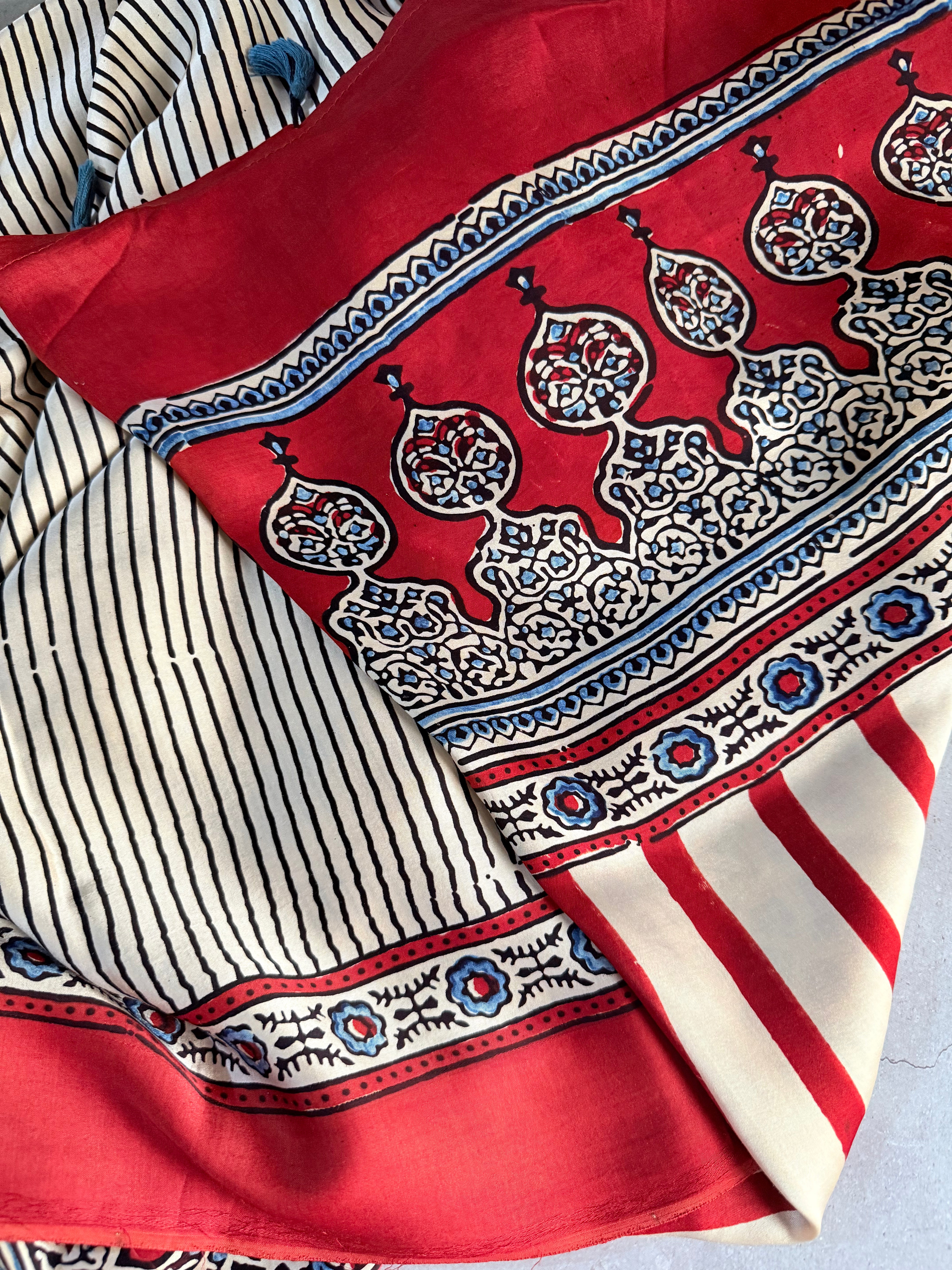 Avinashi | Authentic Block Printed Modal Silk Saree