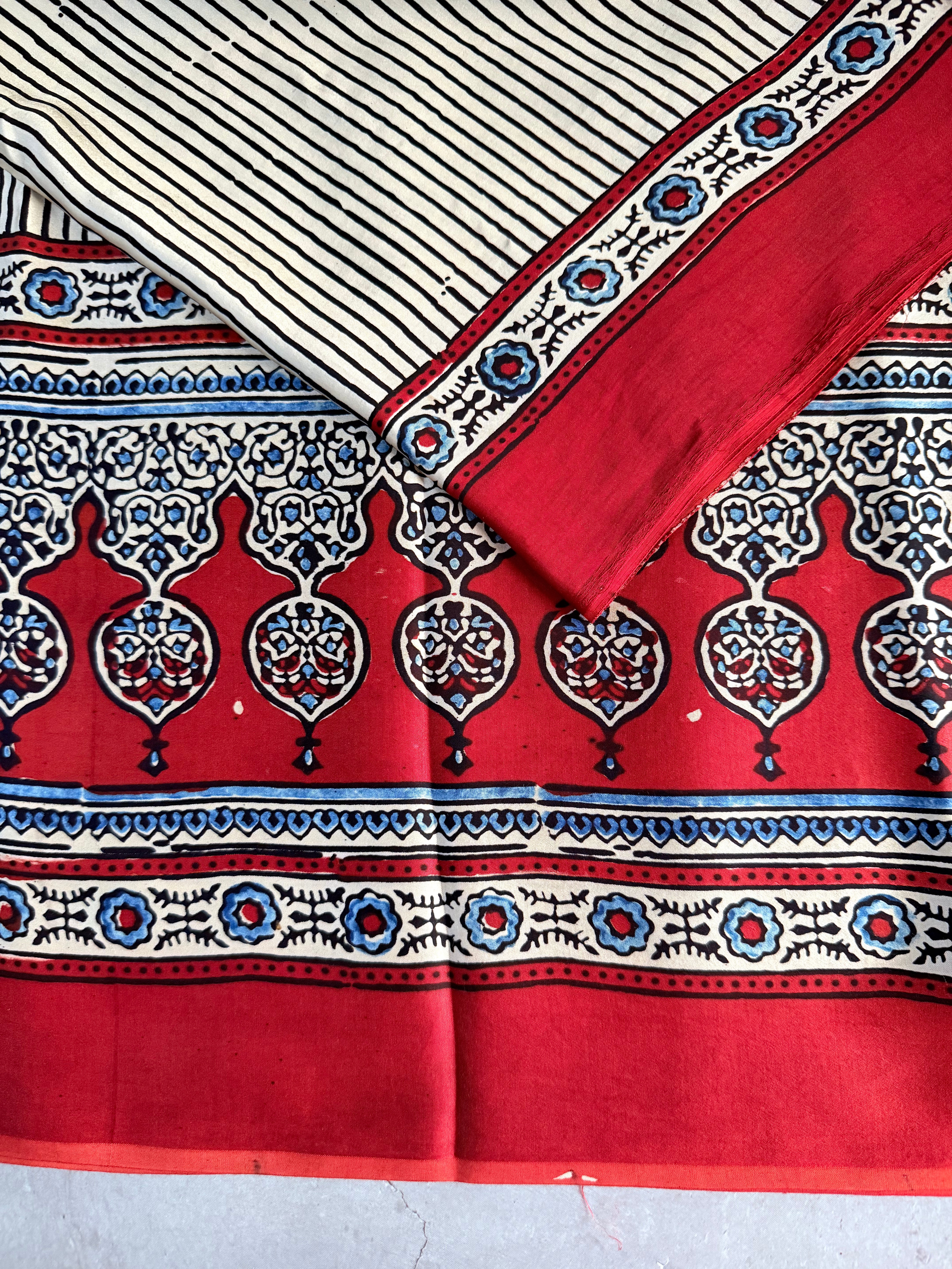 Avinashi | Authentic Block Printed Modal Silk Saree