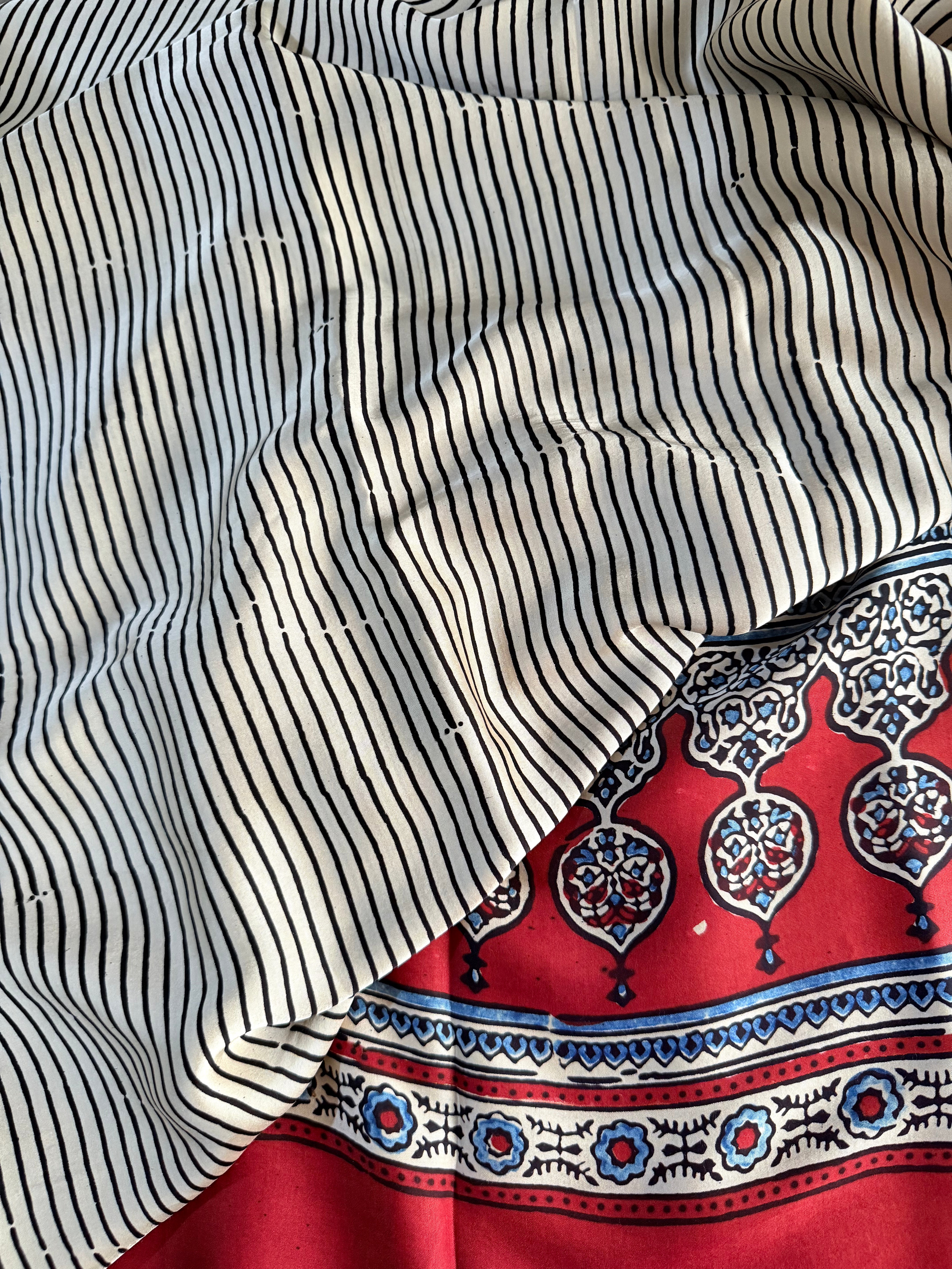 Avinashi | Authentic Block Printed Modal Silk Saree